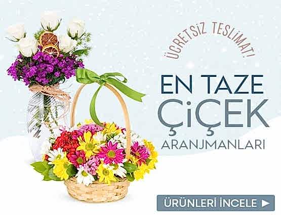 reklam