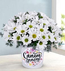 Canım Anneme Temalı Vazoda Papatyalar Canım anneme temalı seramik vazo içerisinde beyaz papatya ve yeşillikler ile hazırlanmıştır.
