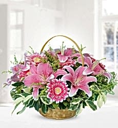Pembe Lilyum ve Gerbera Sepet içerisinde pembe lilyum ve pembe gerbera ile hazırlanmıştır.