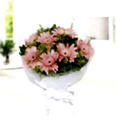 Pembe Gerbera Buketi Pembe gerbera, cipsofilya ve çeşitli yeşilliklerle hazırlanmış şık el buketi.