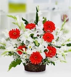  Kırmızı Gerbera Sepeti
