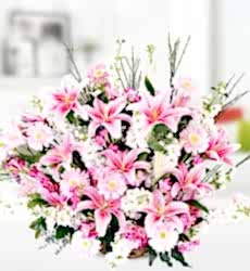 Lilyum Gerbera Şebboy Sepeti Bu aranjman sepet içerisinde pembe kazablanka lilyum, beyaz şebboy ve pembe gerbera ile hazırlanmıştır.