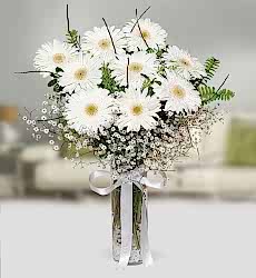Beyaz Gerbera Vazosu 9 adet beyaz gerbera, cipsofilya ve yeşilliklerle cam vazoda hazırlanmıştır.