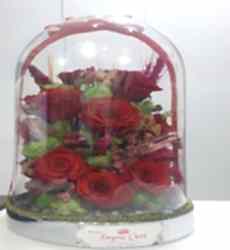Red Rose Solmayan Gül Aranjman