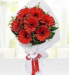 Kırmızı Gerbera Buketi 7 Adet kırmızı gerberalar ile hazırlanmış el buketi.