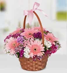 Hüsnüyusuf ve Gerbera Sepeti Sepet içinde pembe gerbera, renkli hüsnüyusuf çiçekleri ve yeşillikler ile hazırlanmıştır.