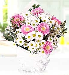 Papatya ve Gerbera Buketi Beyaz papatya ve pembe gerbera ile hazırlanmış zarif el buketi.