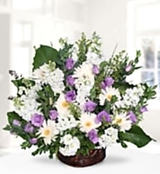 Gerbera Şebboy Lisyantüs Sepet içerisinde beyaz gerbera, beyaz şebboy, mor lisyantus ve yeşillikler ile hazırlanmıştır.