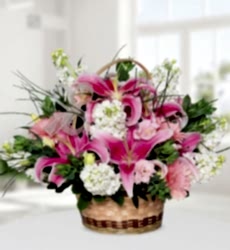 Pembe Lilyum Gerbera Şebboy Sepet içerisinde pembe lilyum, pembe gerbera ve şebboy ile hazırlanmıştır.