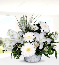 Beyaz Lilyum Gerbera Şebboy