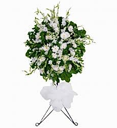 Beyaz gerbera ve beyaz glayör ile hazırlanmış açılış, düğün, nişan ve nikah çiçeği.