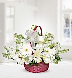 Lilyum Gerbera Şebboy Sepet içerisinde kokulu beyaz lilyum, beyaz gerbera ve beyaz şebboy ile hazırlanmıştır