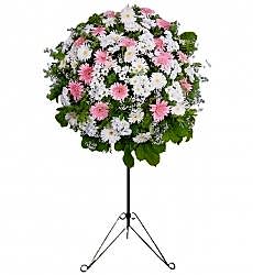 PEMBE gerberalar ile hazırlanmış açılış, düğün, nişan ve nikah çiçeği.