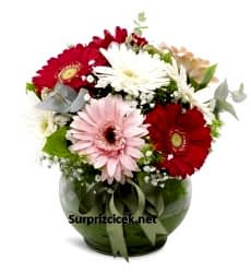 Rengarenk Gerbera Aranjmanı Gemlik Çiçekçi