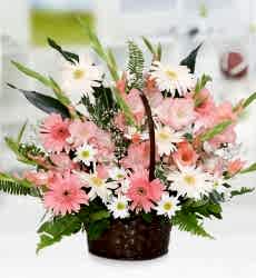 Gerbera ve Papatya Sepeti