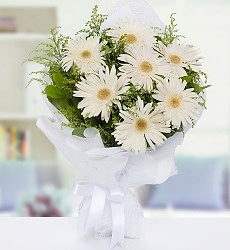 Beyaz Gerbera Buketi Beyaz gerbera ve çeşitli yeşilliklerle hazırlanmış şık el buketi.