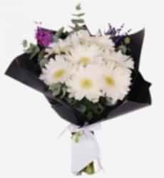 Siyah Bukette Beyaz Gerbera Buketi