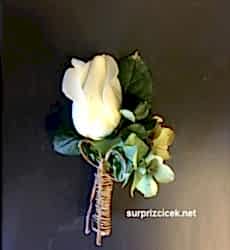 Damat yaka çiçeği