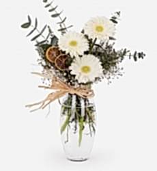 Beyaz Gerbera Aranjmanı