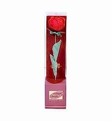Bind Chocolate'ın 